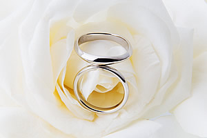 結婚披露宴でお料理をお出ししています
