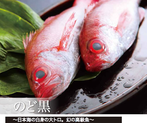 日本海の白身の大トロ:幻の高級魚のどぐろ